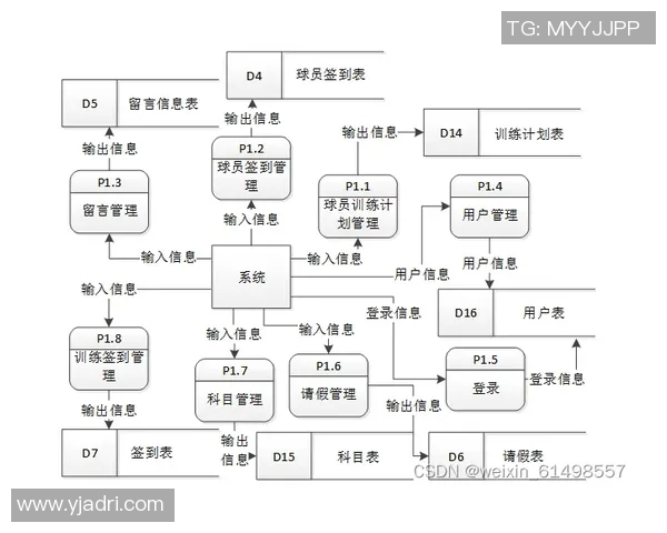 CBA球队赛季训练计划设计与效果评估研究框架分析